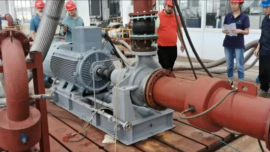 API610 Oh2 High Temperature High Pressure Hot Oil Sea Water Anti-Corrosive Chemical Centrifugal Pump of Duplex Stainless Steel,Titanium,Nickel,Monel,Hastelloy